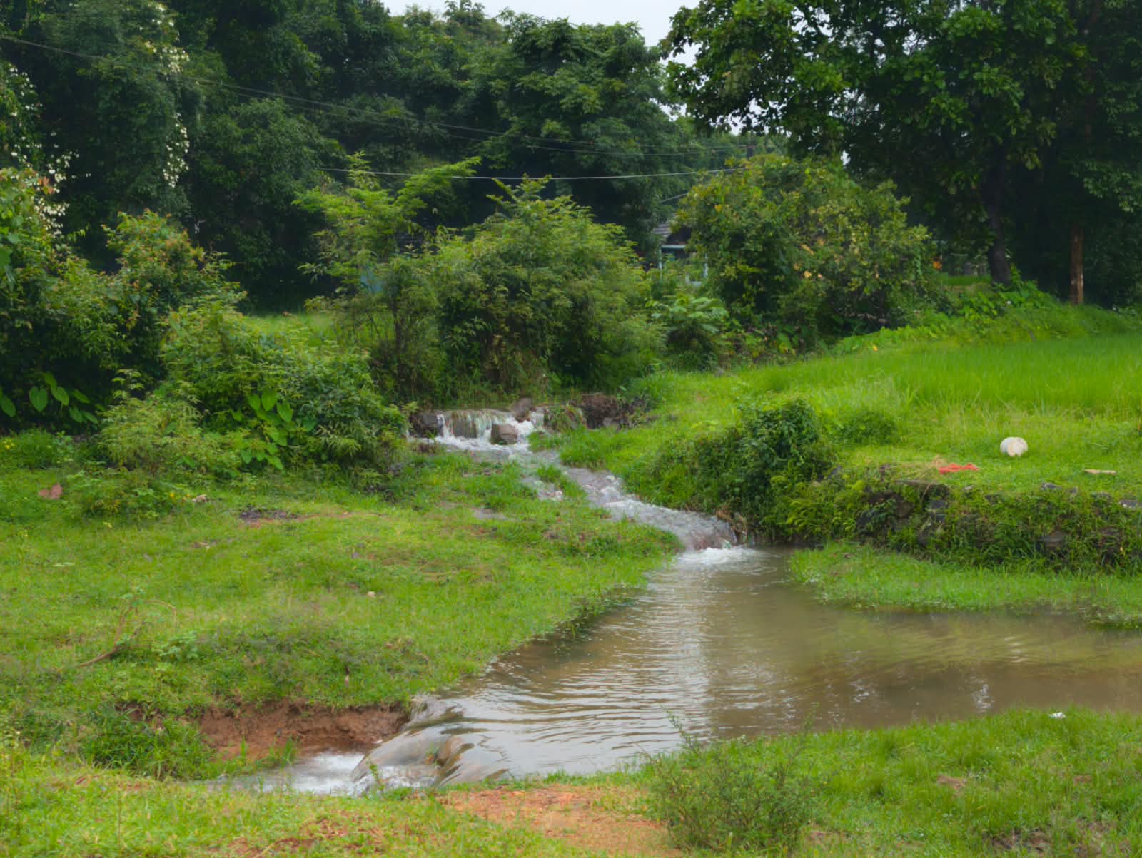 The beautiful coast of Udupi