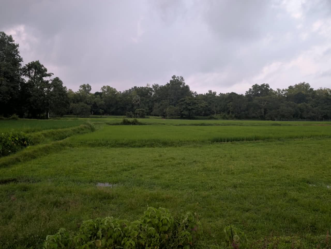 On the banks of River Seetha